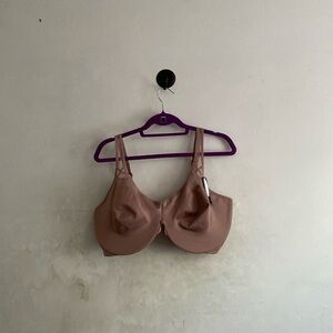 Felina bra
